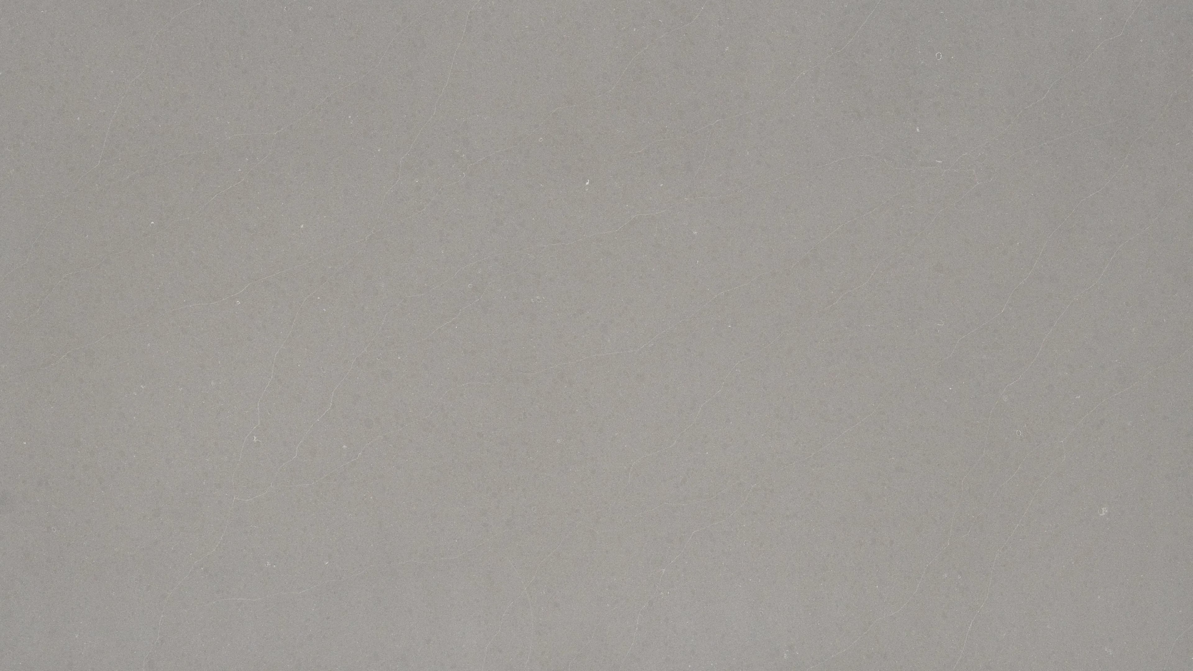 Venantis CMT Grey Lyra — Grey Lyra